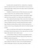 La violencia Familiar en Tabasco