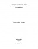 Auditoria externa e interna