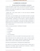 RESUMEN AL BORDE DEL NAUFRAFIO