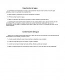 Importancia del agua.Conservación del agua