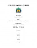 Analisis de la aceptacion