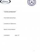 Resultado de imagen para Isima “Cocina profesional”