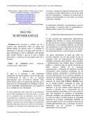 PROYECTO AGUAS SUBTERRANEAS