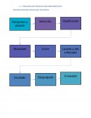 DESCRIPCION DEL PROCESO DE PRODUCCIÓN BIEN/SERVICIO EXTRACCION DEL MUCILAGO DE NOPAL