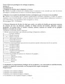 Tema 4: Procesos patológicos de etiología neoplásica
