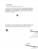 Ecología Humana: Es la acción recíproca del hombre y su medio ambiente