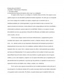Actividad 1. Planeamiento Urbanístico