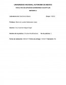 PRACTICA CIRCUITOS RECTIFICADORES ELECTRONICA BASICA