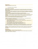 Pregunta Nº 1 PRIMERA PREGUNTA (30 puntos en total)