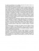 Anatomía. Se realizó la identificación de las distintas estructuras del cerebro, tanto en su posición anatómica como en un corte sagital