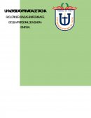 ESTUDIO ESTRATEGICO DESCRIPCION DEL PROYECTO