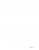 Reporte de lectura 01 Parcial. El Código Cultural