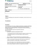 Proponer estrategias para el desarrollo de actividades y recursos clave de una empresa