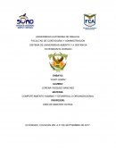 LA PERSEPCION Y EL APRENDIZAJE COMO FACTORES QUE DETERMINAN LAS DIFERENCIAS INDIVIDUALES