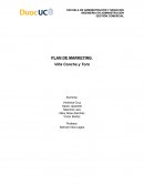 PLAN DE MARKETING Viña Concha y Toro