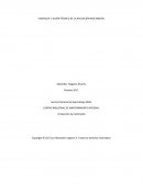 EVIDENCIA 3: GUIÓN TÉCNICO DE LA APLICACIÓN MULTIMEDIA