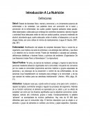 Definiciones Nutricion