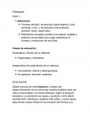 Resumen pedagogia