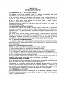 LA RELACIÓN JURÍDICA