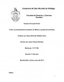 El procedimiento acusatorio en mexico, prueba documental