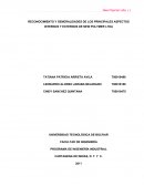 RECONOCIMIENTO Y GENERALIDADES DE LOS PRINCIPALES ASPECTOS INTERNOS Y EXTERNOS DE NEW POLYMER LTDA