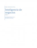 Gestión y administración de Pyme Inteligencia de negocios