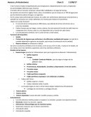 Huesos y Articulaciones. Funciones del esqueleto