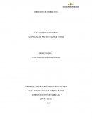 COMPRENSION DE LA DIRECCION DE MARKETING Y DESARROLLO DE ESTRATEGIAS Y PLANES DE MARKETING