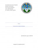 Ensayo Federacion de las Indias Occidentales.