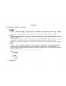 La iberica Planeamiento estratégico esquemas