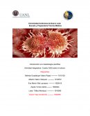 Actividad integradora: Cuadro QQQ sobre el cáncer