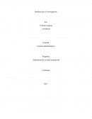 Un nuevo Marco Metodologico