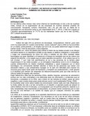 DE LO SÓLIDO A LO LÍQUIDO: LAS NUEVAS ALFABETIZACIONES ANTE LOS CAMBIOS CULTURALES DE LA WEB 2.0