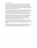 Ensayo sobre Mirarte de Lejos