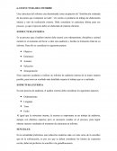 ESTUCTURA DEL INFORME