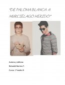 Ensayo sobre el Orgullo y prejuicio