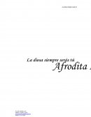 Afrodita Ltda