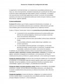 Enumere los Principios de la configuración del Estado