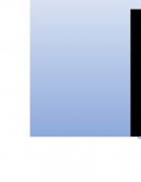 Ejemplo de Ensayo del Salario Base de Cotización