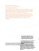 Problema obesidad infantil en México