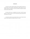 PREGUNTAS DEL CASO DE ESTUDIO: AMAZON