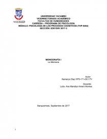 PSICOLOGÍA DE LOS PROCESOS COGNITIVOS (THP-0464). Página 1
