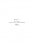 Plan de Formación. Marco Contreras W FUNDAMENTOS DE LA PREVENCIÓN DE RIESGOS