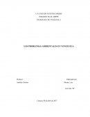 LOS PROBLEMAS AMBIENTALES EN VENEZUELA
