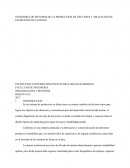 FACULTAD DE INGENIERIA ORGANIZACIÓN Y METODOS