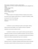 Práctica numero 3: Introducción a la química y estructura atómica