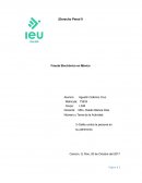 FRAUDE ELECTRONICO EN MEXICO