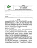 INVESTIGACIÓN, PLANEACIÓN Y DESARROLLO DE MERCADOS Y MEDIOS DE LA COMUNICACION