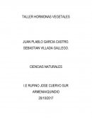 TALLER HORMONAS VEGETALES