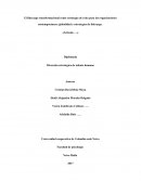 El liderazgo transformacional como estrategia de éxito para las organizaciones contemporáneas